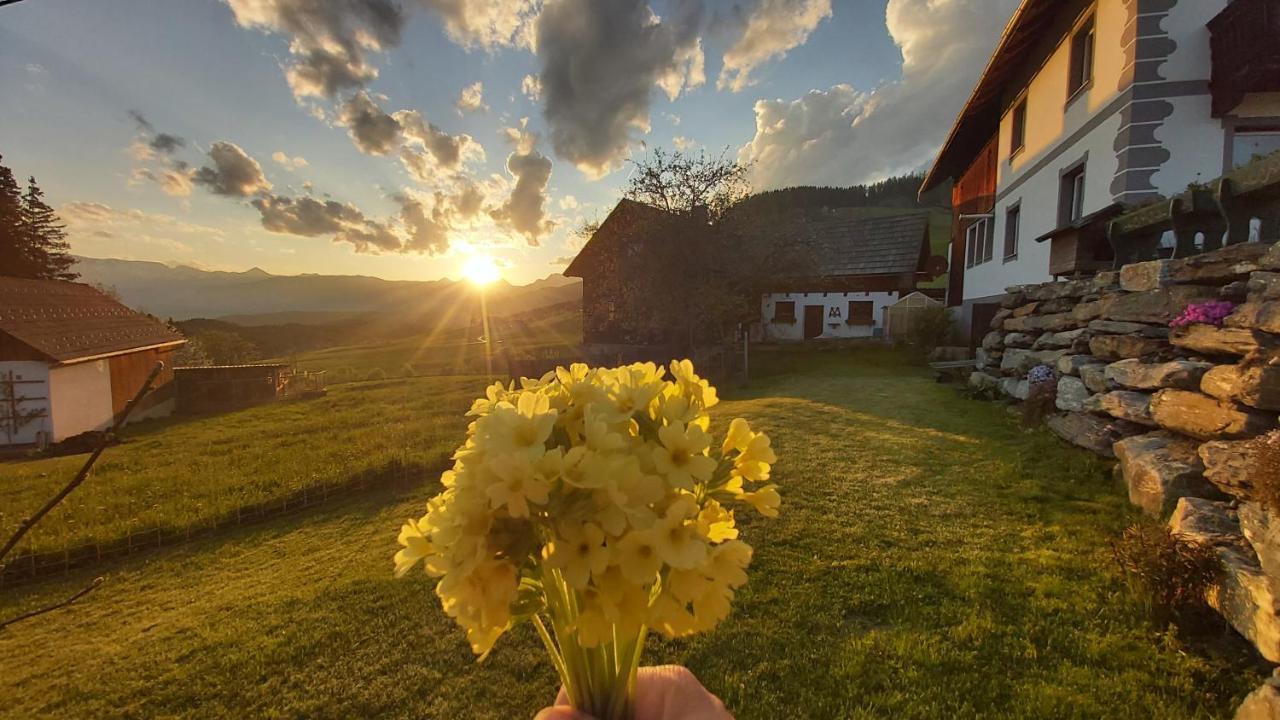 Schweizer Hof Leilighet Tamsweg Eksteriør bilde